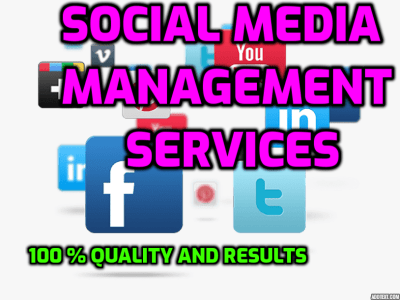 Expert Social Media Management and Content Creation