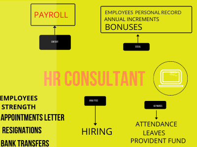 A  HR Consultant for your business