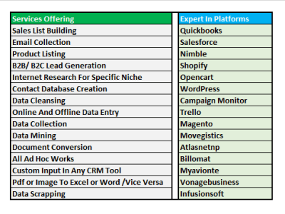 Professional web research and data entry services.
