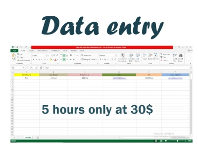 Data entry work for 5hours | Upwork