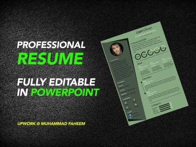 A professional Resume or CV designed in PowerPoint
