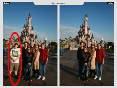 Any object removal service from your picture
