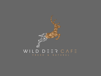 A Geometric and Minimalist Logo for your Business