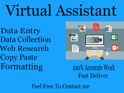 Professional data entry, MS Word, Excel Typing, and web research