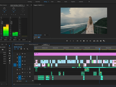 Top video editing for any kind of video with royalty free music/clips.