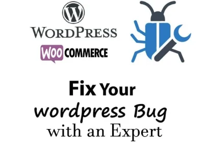 Wordpress bug fix within 2 hours | Upwork