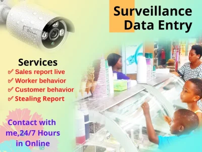 Data entry in google sheet and Surveillance video footage Services.