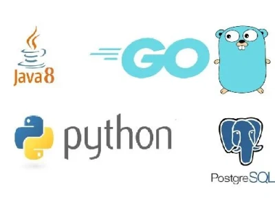 Python or golang source code for your project | Upwork