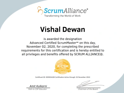 An Agile coach who will build the most efficient team fo you.