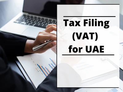Filled your UAE (Federal Tax Authority FTA) VAT Return Professionally