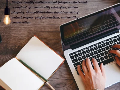 Professionally written content for your article.