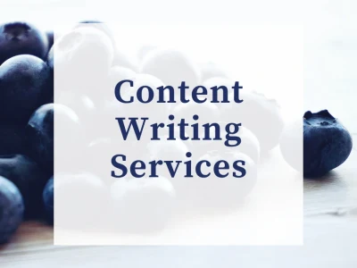 SEO article, website content, sales copy & blog writing