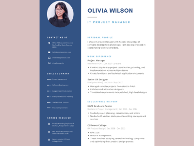 A stunning attractive resume design.