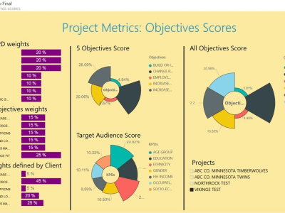 An insightful BI report/dashboard for your informed business decisions.