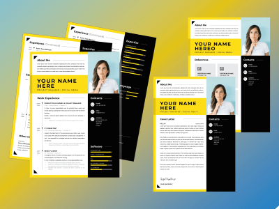An outstanding resume or Curriculum Vitae