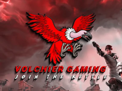Professional 3d, Twitch, Youtube, Esports and Business Logo