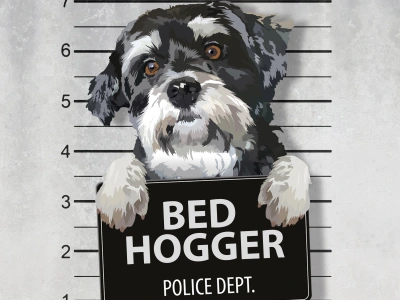 Your pet Guilty portrait