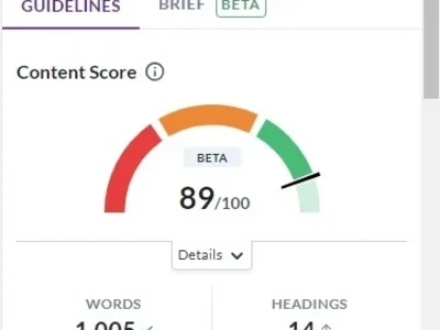 SurferSEO optimized article with meta description