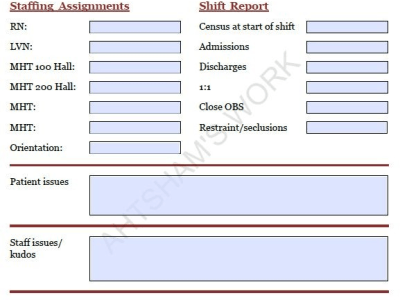 Fillable pdf form within 24 hours or less