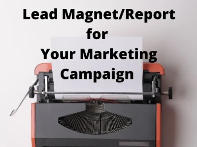 A high-quality lead magnet/report for your marketing campaign.