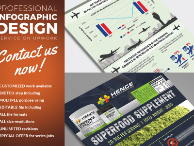 A Professional Infographic Design | Data Visualization