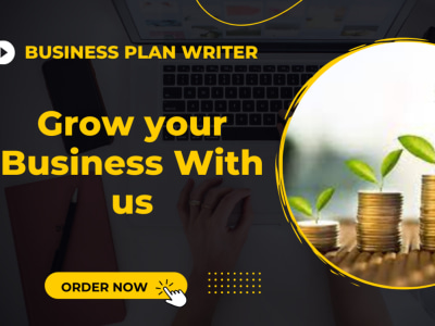 Investor ready business plan including financial projections