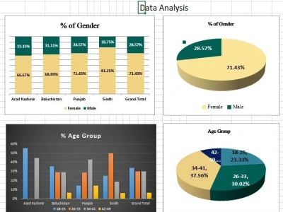 Reports Extract Data Data Cleansing Upwork