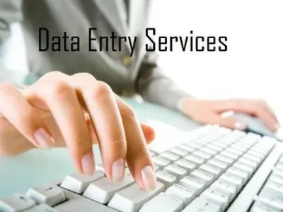 An accurate web research and data entry services