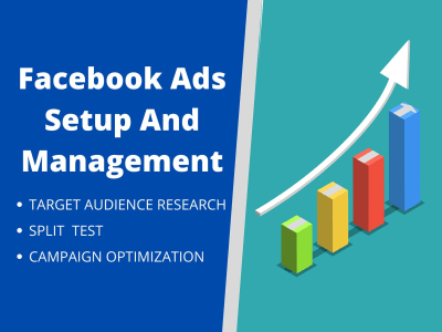 Facebook and Instagram Ads which convert audience to customer