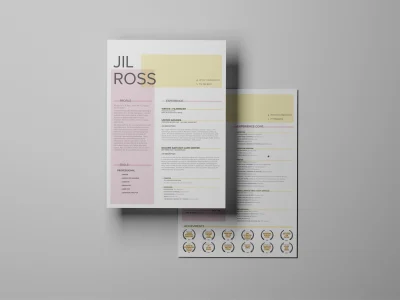 A professional resume design