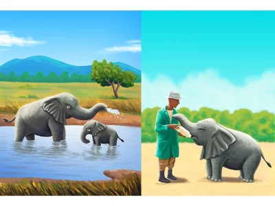 A amazing Illustrations for your children's book
