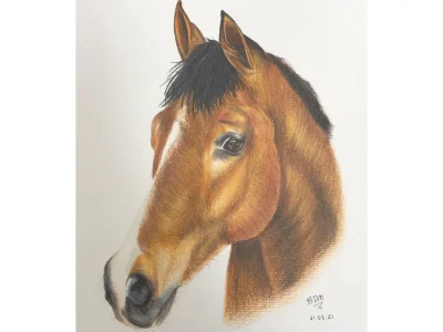 An amazing realistic drawing based on a picture