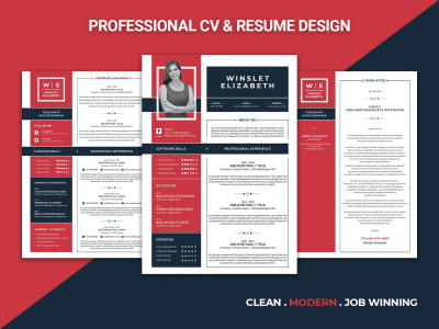A Professional, Modern, Job winning Resume design or CV design
