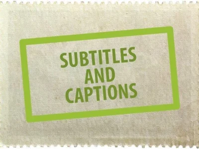 Quality subtitles from highly experienced professional
