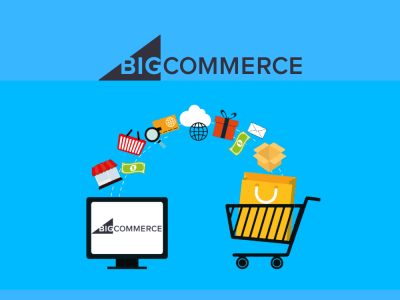 Premium BigCommerce Store | BigCommerce Developer | BigCommerce Expert
