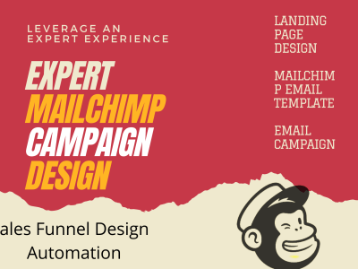 A mailchimp expert for mailchimp email marketing, campaign, and automation