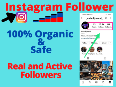 1000+ real, active, organic & HQ instagram followers organically