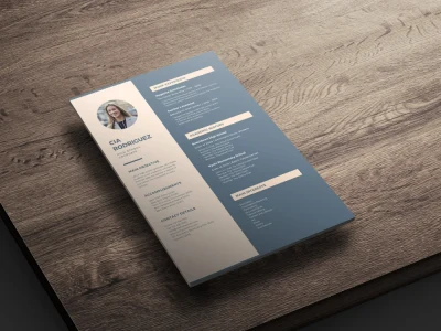 Professional CV & Resume