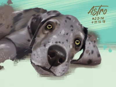 I will a draw realistic art portrait of your cat, dog or any pets