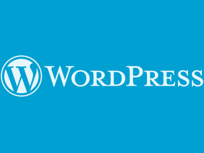 Fully testing product: Wordpress | Webflow| Shopify, Woocommerce
