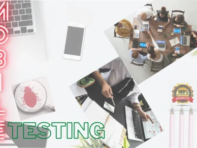 Professional QA test for your website, minimum 10 bugs.