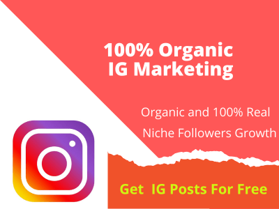 Instagram marketing manager to manage your account | IG Expert