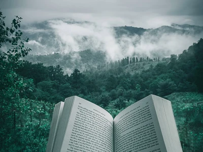 A developmental edit for 1000 words of your book or story