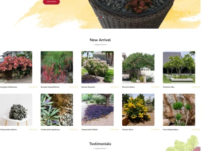 Your Wix, Weebly, Duda, Webflow, etc website converted into Wordpress