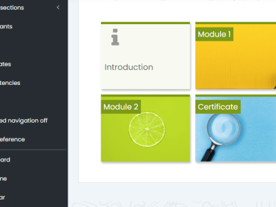 A fantastic Moodle course
