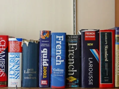 A check on the correctness of the French language on your website