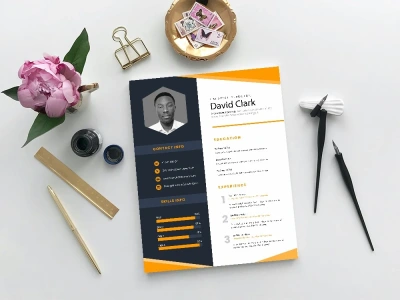 Get professionl CV or Resume Design