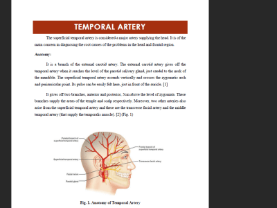 Medical, Health, and Fitness related Articles and Blogs