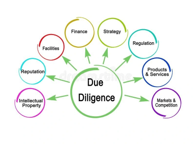 A 'due diligence'/'know your customer' report
