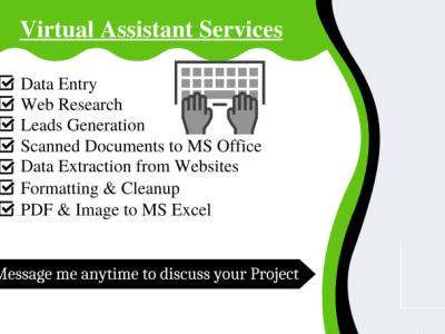100% accurate professional VA service for your business